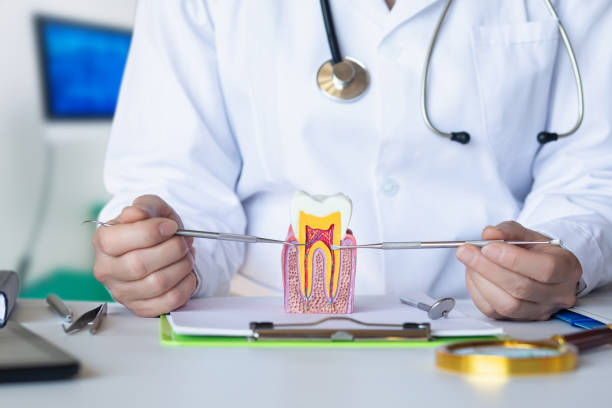 Best Emergency Dental Care for Trauma or Injury in Palmetto Bay, FL